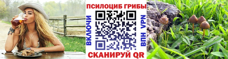 Галлюциногенные грибы прущие грибы  где купить наркоту  Бодайбо 